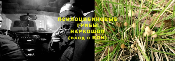 стафф Армянск