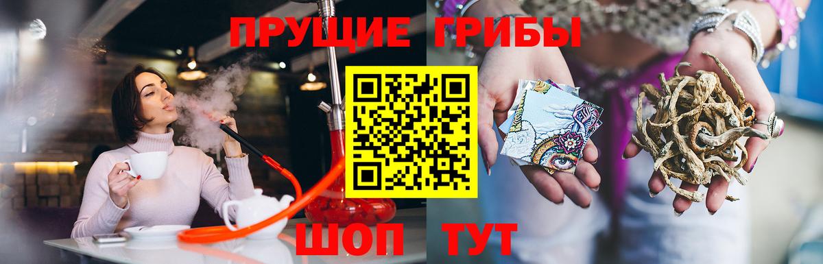 Галлюциногенные грибы прущие грибы  Вход с VPN  Находка  Псилоцибиновые грибы мухоморы 